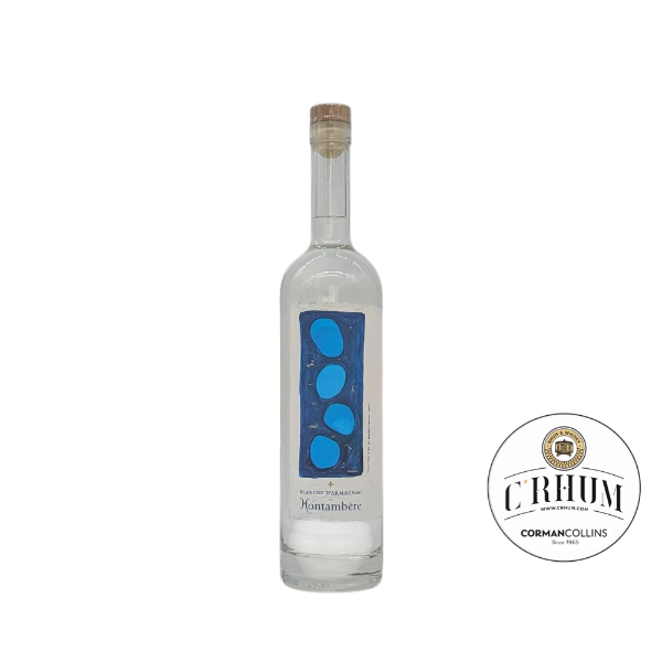 Image de DOMAINE DE HONTAMBERE BLANCHE 70CL